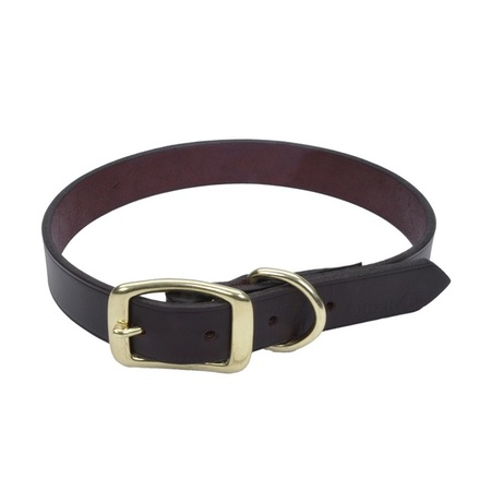 COASTAL PET Latigo Leather Town Dog Collar with Solid Brass Hardware 1” 22" 3813-22